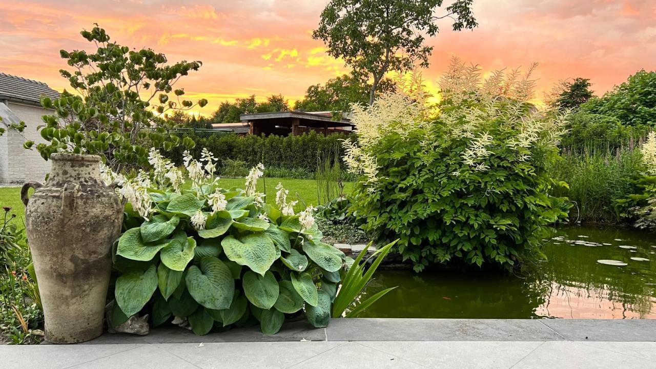 Ikigai Bed & Breakfast Oud-Turnhout Dış mekan fotoğraf