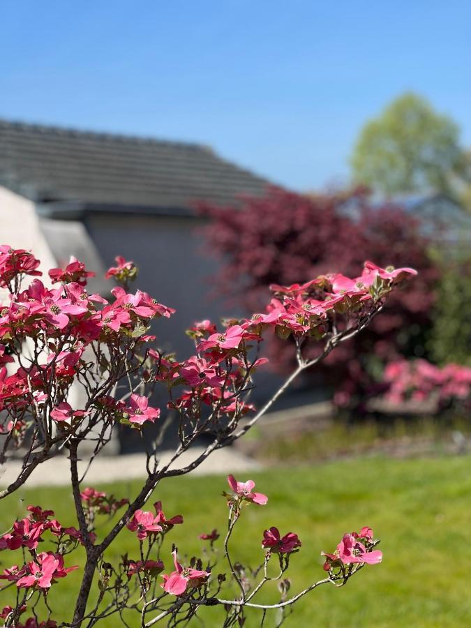 Ikigai Bed & Breakfast Oud-Turnhout Dış mekan fotoğraf