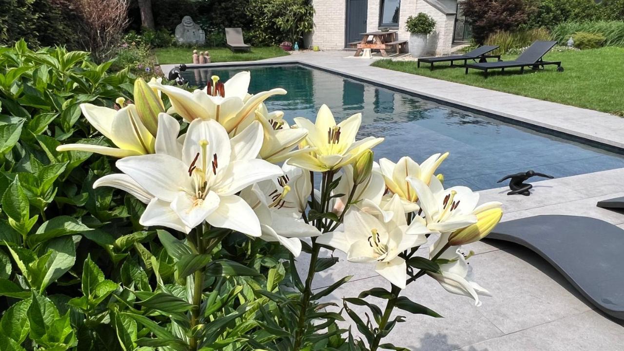Ikigai Bed & Breakfast Oud-Turnhout Dış mekan fotoğraf