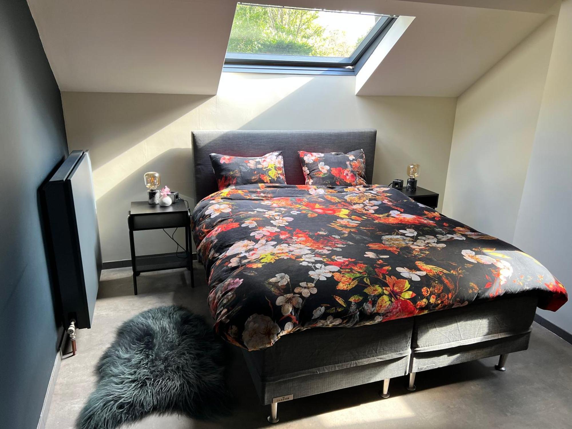 Ikigai Bed & Breakfast Oud-Turnhout Dış mekan fotoğraf