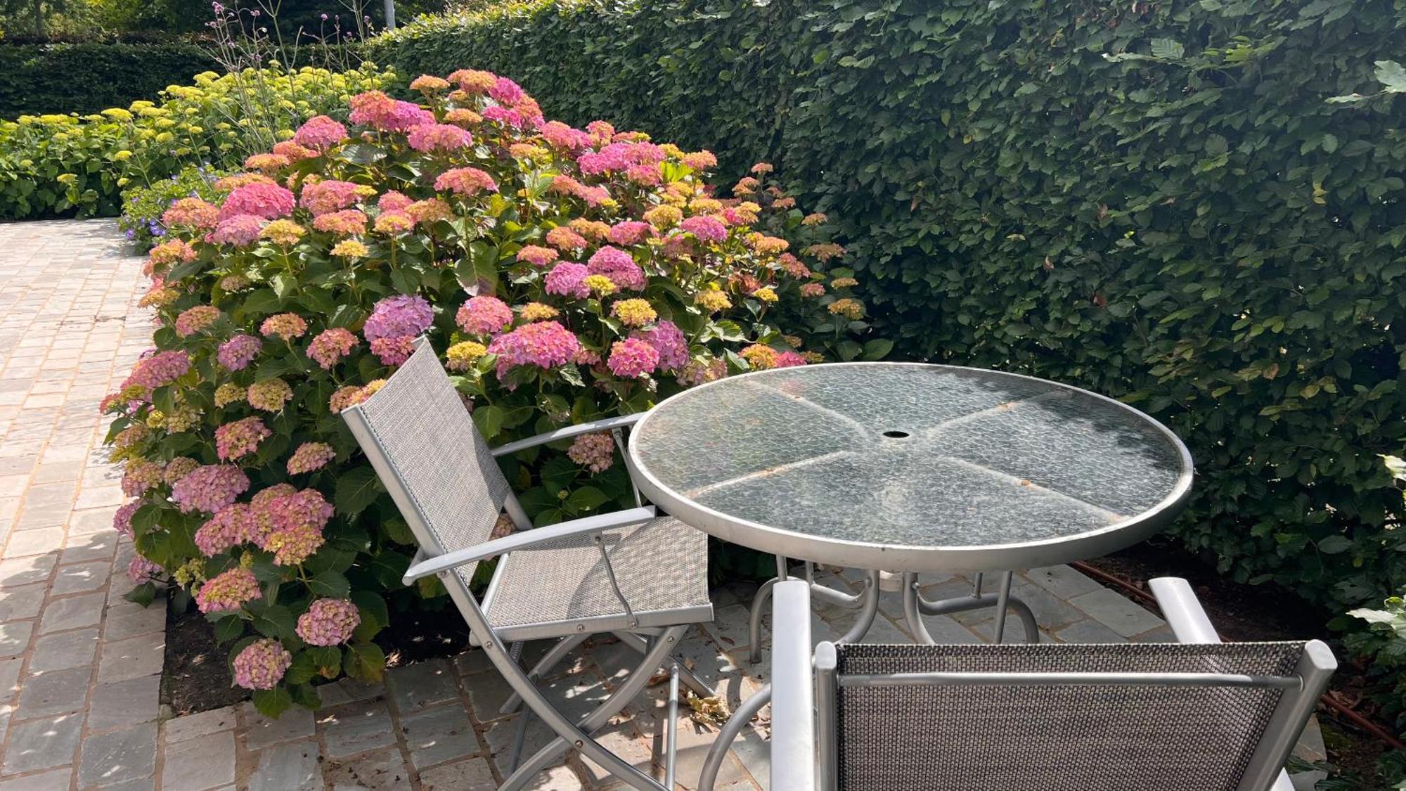 Ikigai Bed & Breakfast Oud-Turnhout Dış mekan fotoğraf