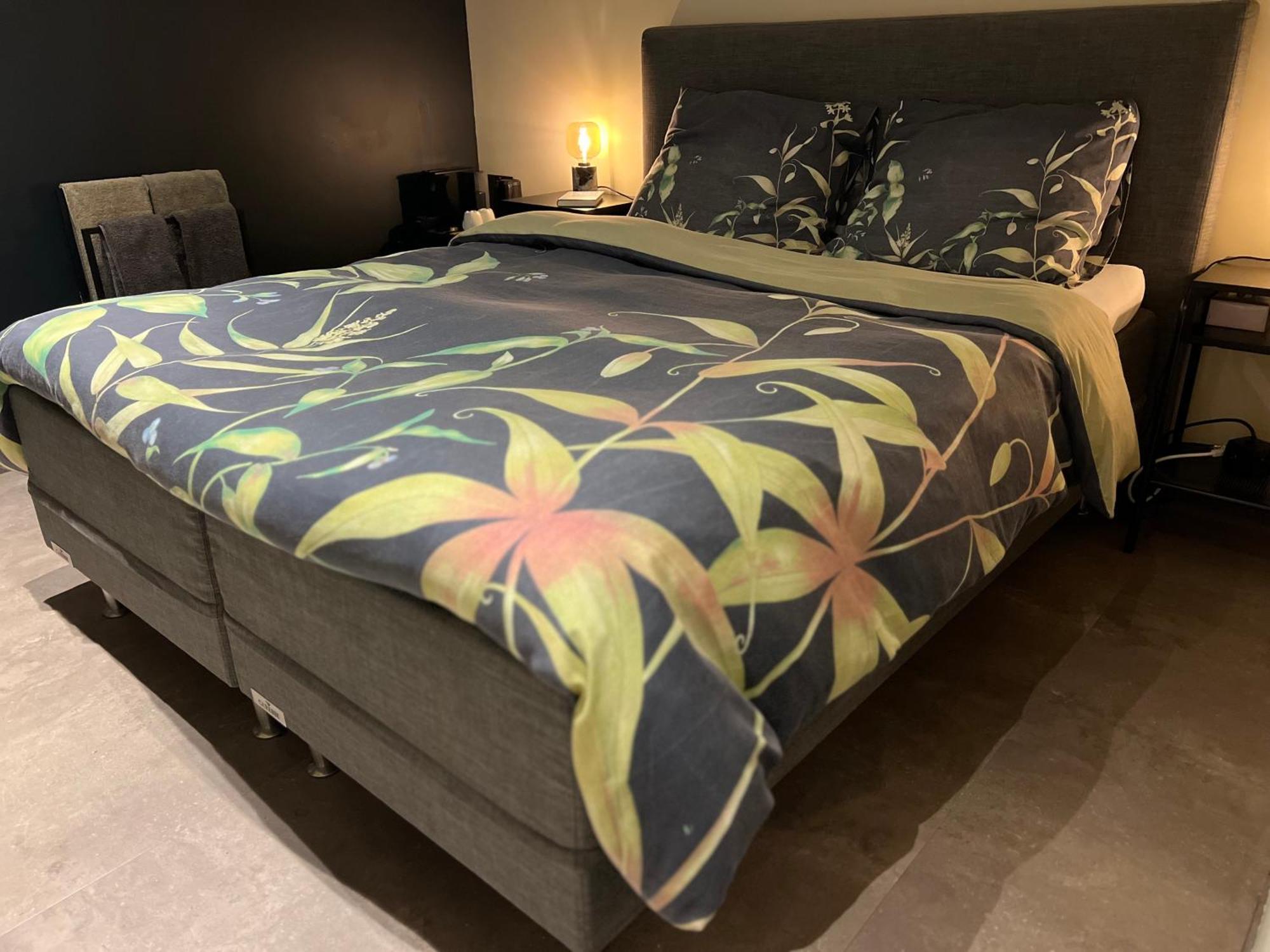 Ikigai Bed & Breakfast Oud-Turnhout Dış mekan fotoğraf