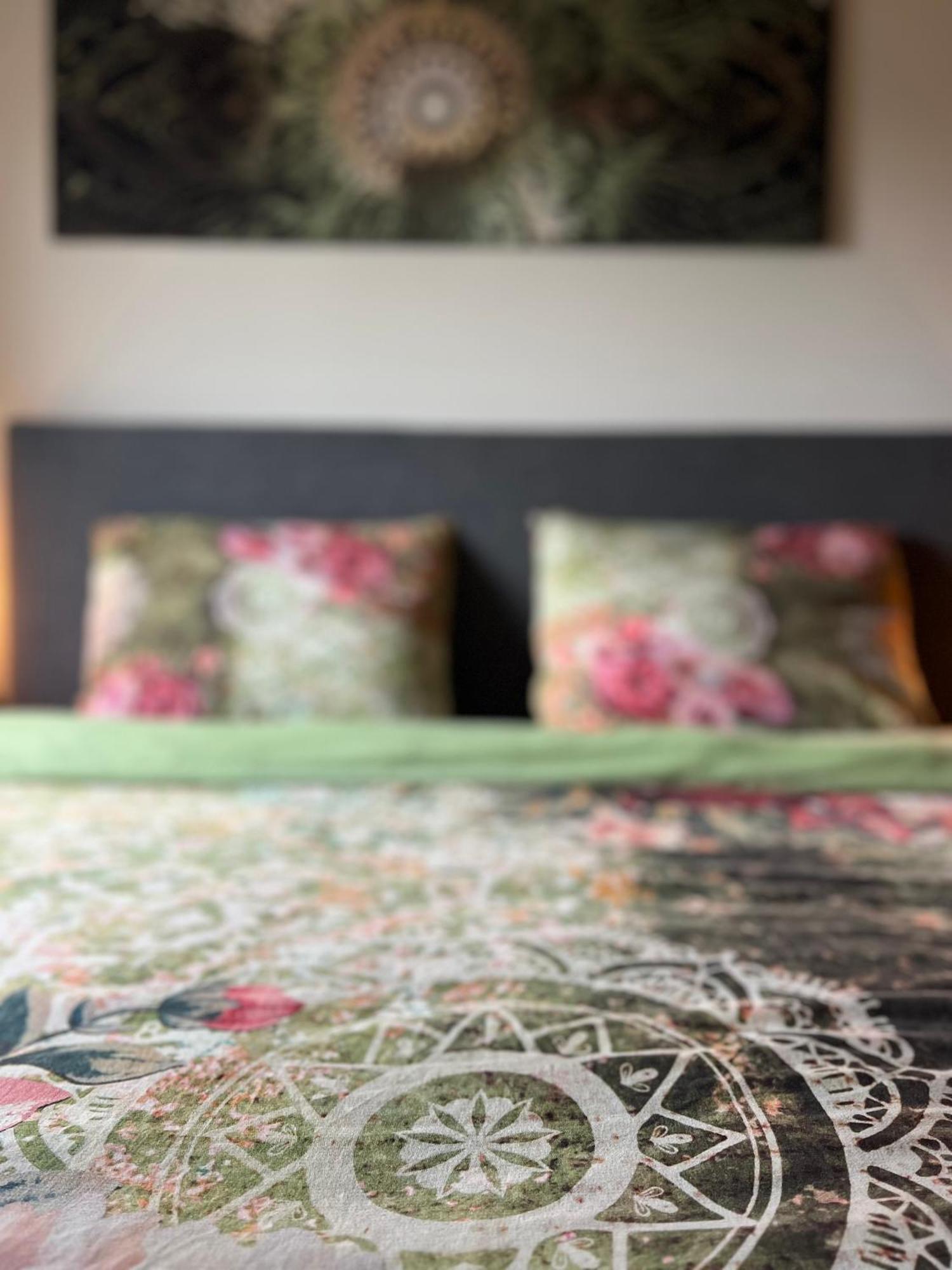 Ikigai Bed & Breakfast Oud-Turnhout Dış mekan fotoğraf